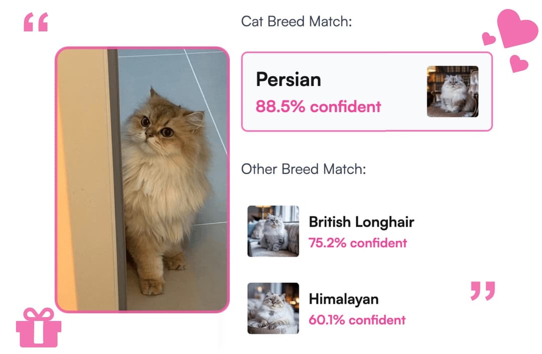 Cat Analysis - AI analyzing cat breeds